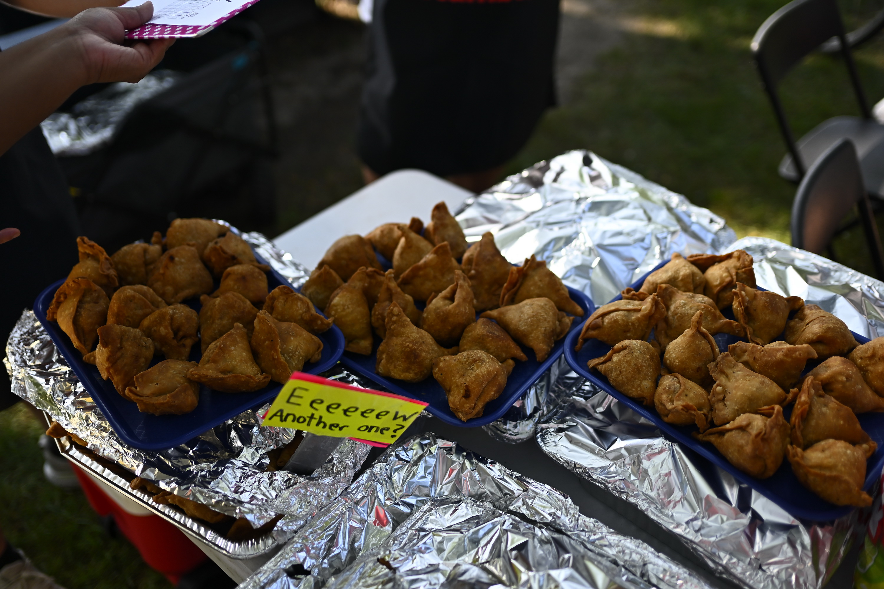 Samosa Stumble Photo